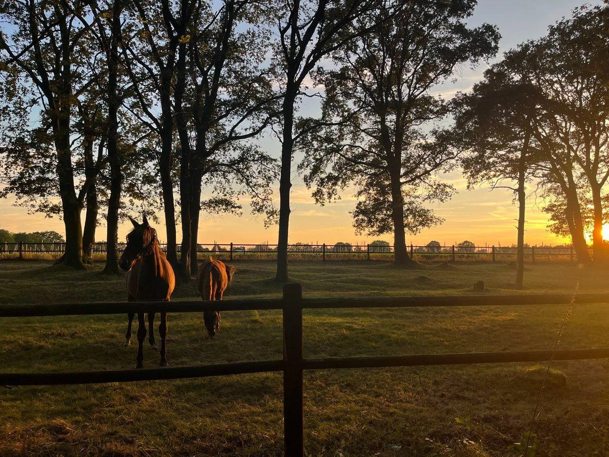 Silence leads to good thoughts