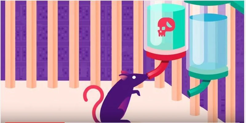 Be aware of Society's effects